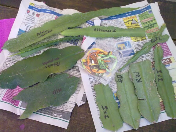 240920114346.jpg
