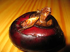 240px-Wasserkastanie_2.jpg