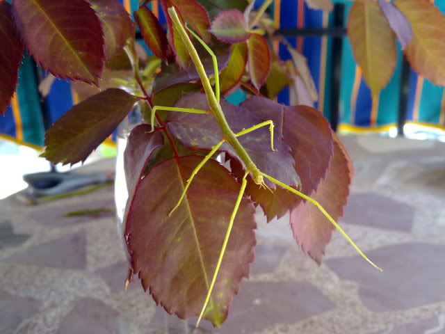24102010702.jpg