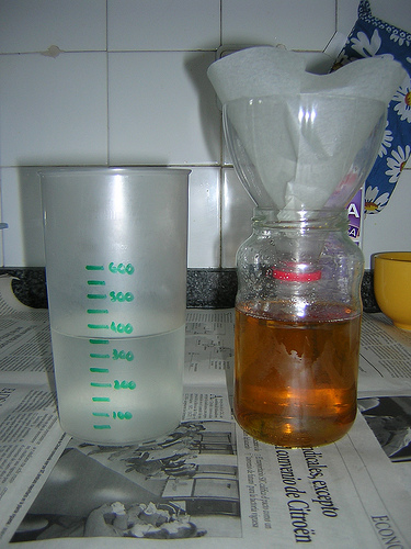 2410677323_b87ffe59fc.jpg