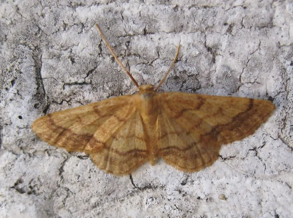 2444o07.jpg