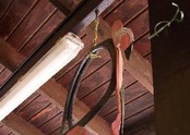 2447057-Flamingo_made_of_old_tires_Curacao.jpg