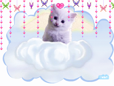 244767rfmt3ddglm.gif