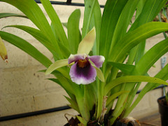 2456714630_bd907e9fe2_m.jpg