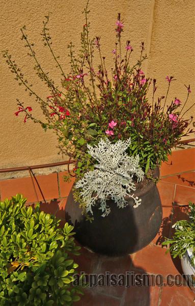 24687d1307275135t-en-la-crisis-tambien-podemos-hacer-terrazas-p1070368florales.jpg