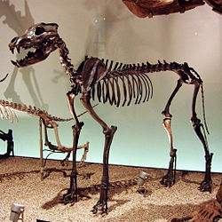 24b107m.jpg