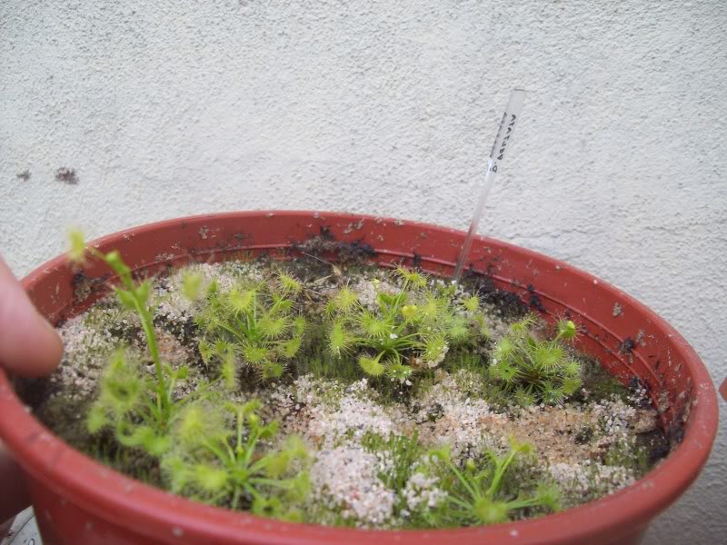 24deabrildel2010132.jpg