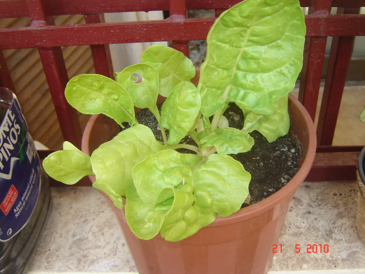 24g401d.jpg