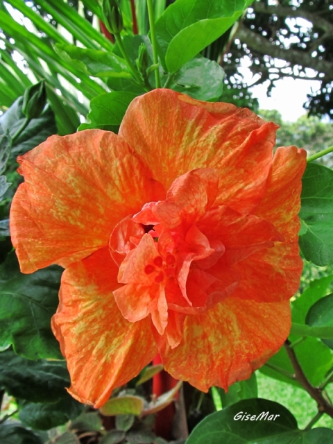 24y75f7.jpg
