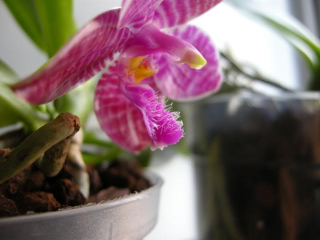 25-02-2014092_zps712c13a6.jpg