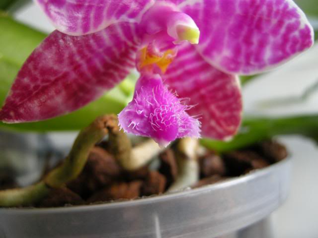 25-02-2014093_zps9527b5c1.jpg