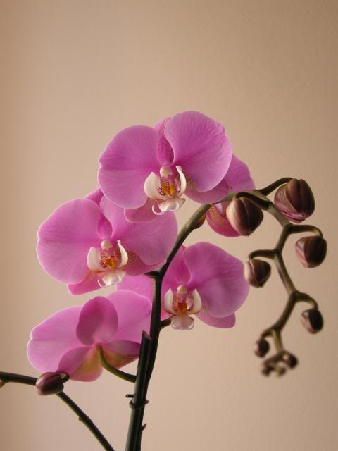 25-02-2014094_zps11469552.jpg