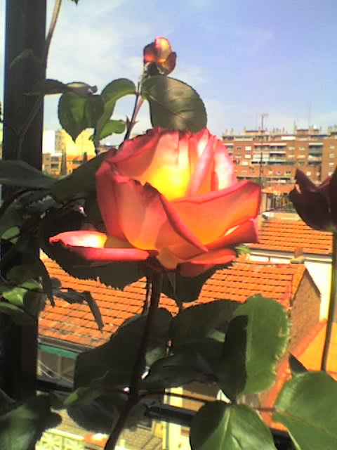 25-04-06_1412.jpg