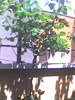 25-04-06_1414.jpg