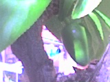 25-04-06_1415.jpg