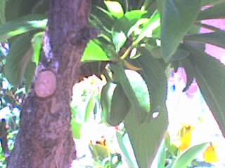 25-04-06_1416.jpg
