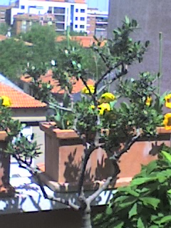 25-04-06_1417.jpg