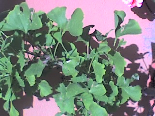 25-04-06_1418.jpg