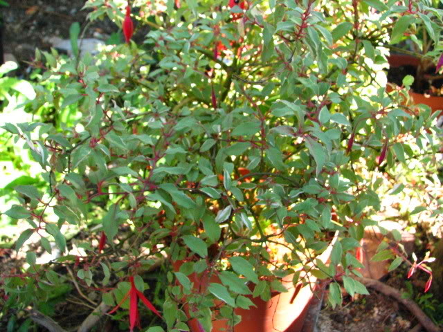 25-06-2007085.jpg