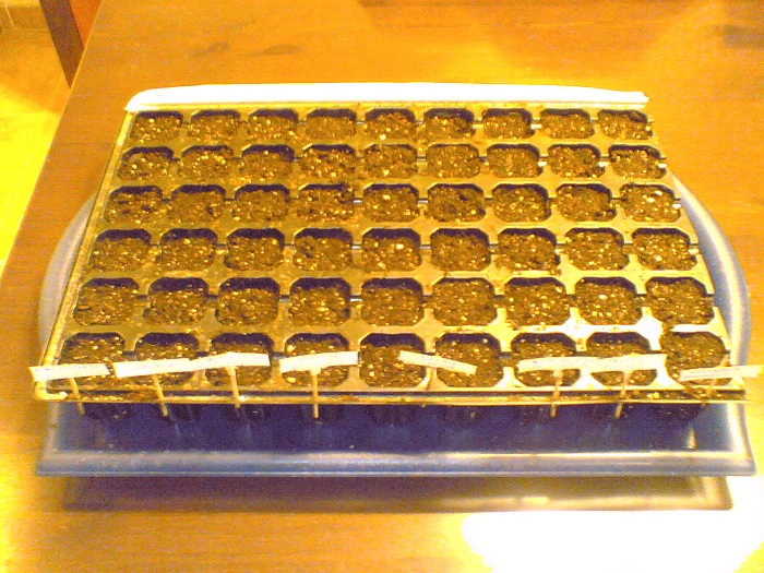 25022007(001).jpg