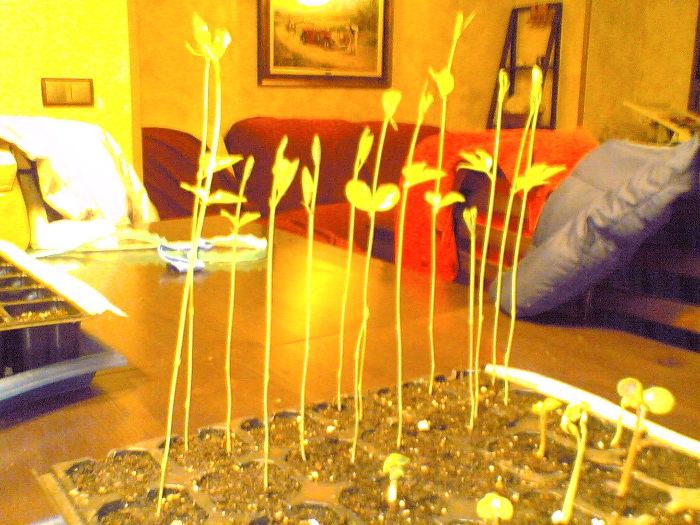 25022007(004).jpg