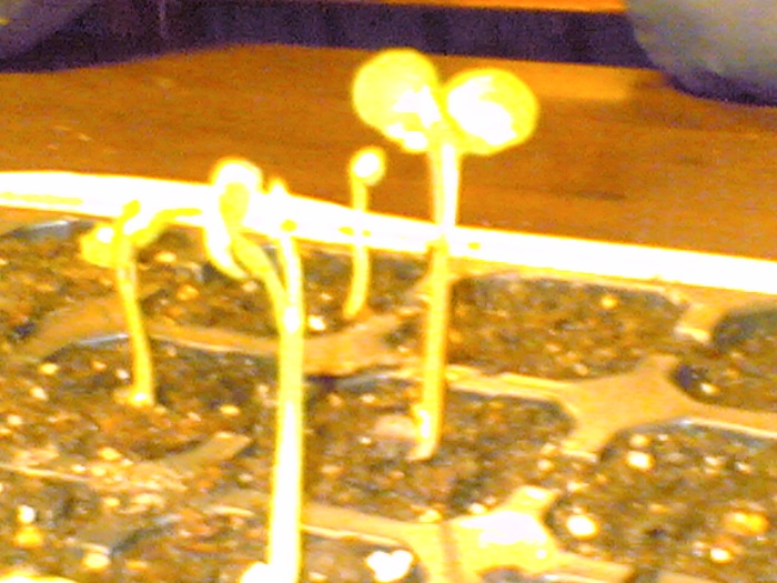 25022007(005).jpg