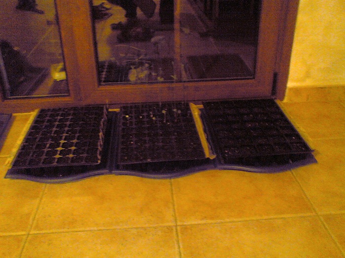 25022007(007).jpg