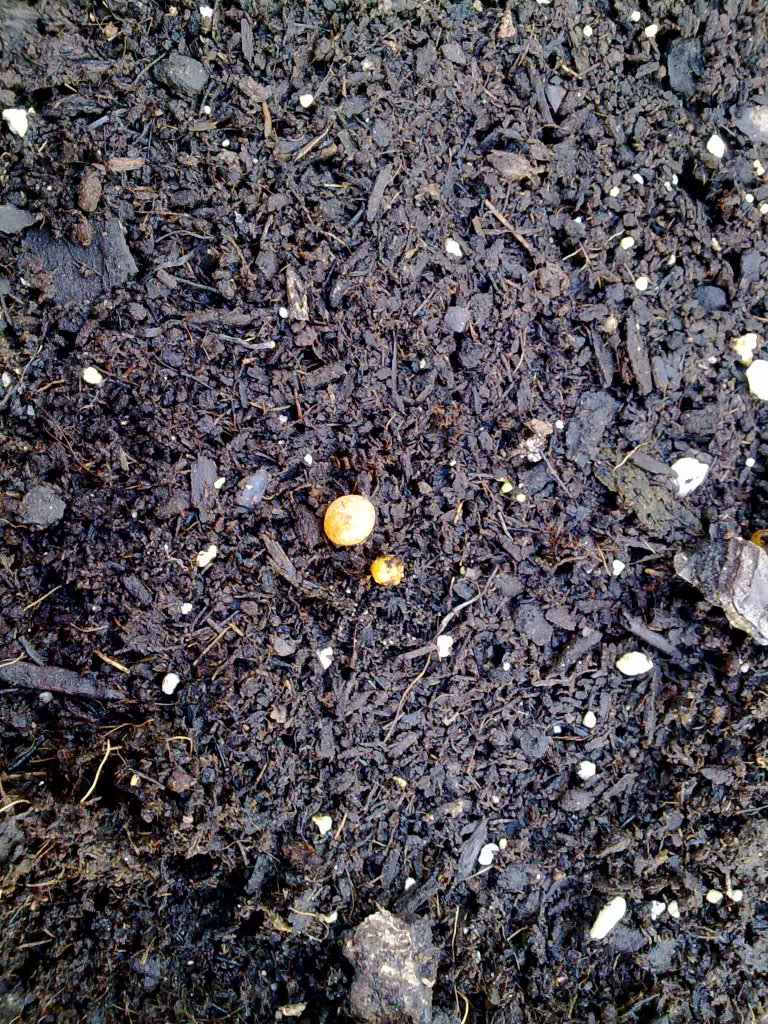 250220111214.jpg
