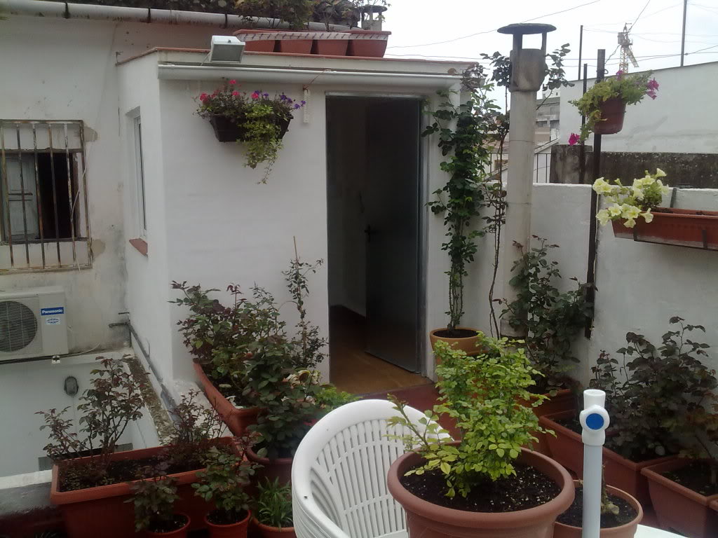 250320111286.jpg