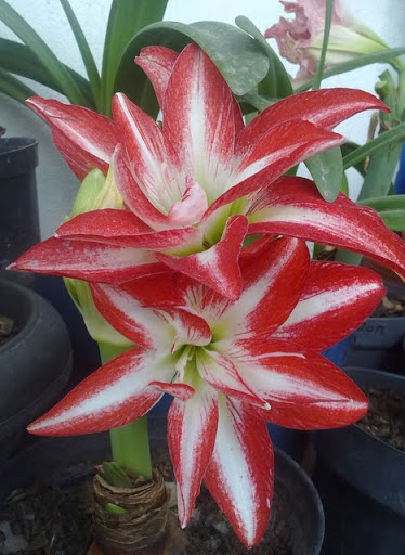250320121082.jpg