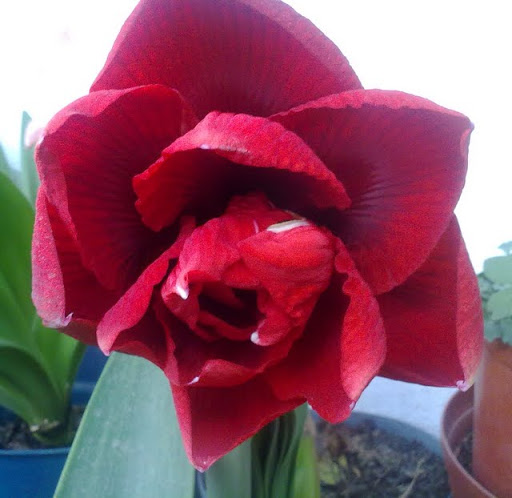 250320121083.jpg