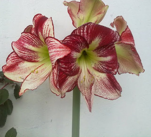 250320121084.jpg