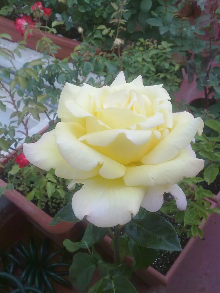 250420111573.jpg