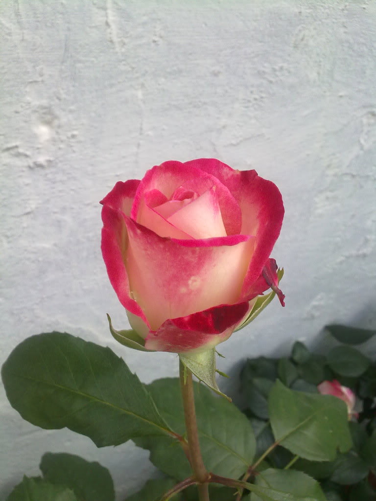 250420111597.jpg