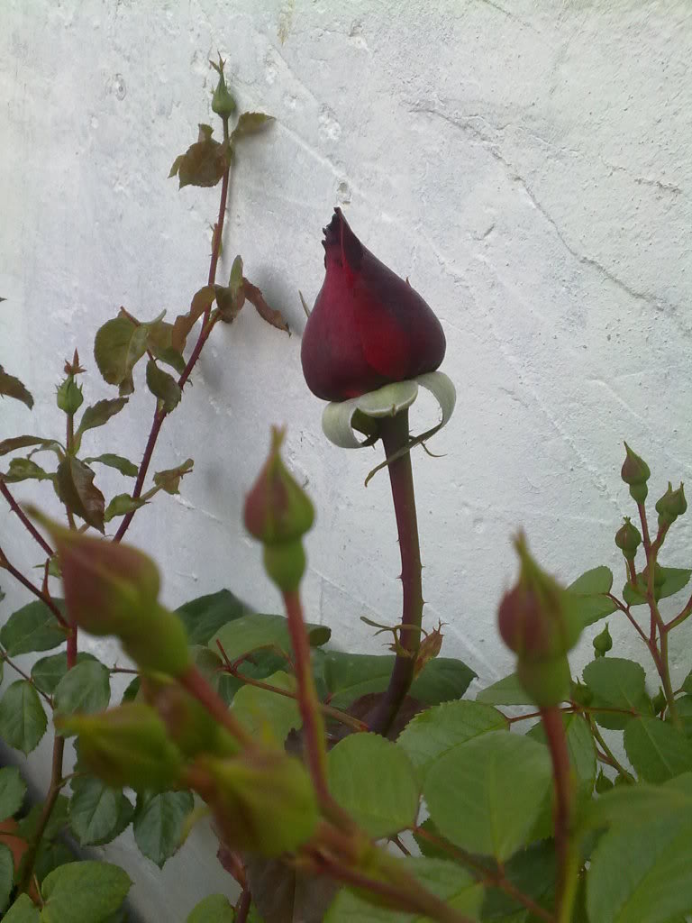 250420111605.jpg