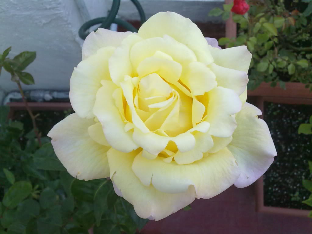 250420111633.jpg