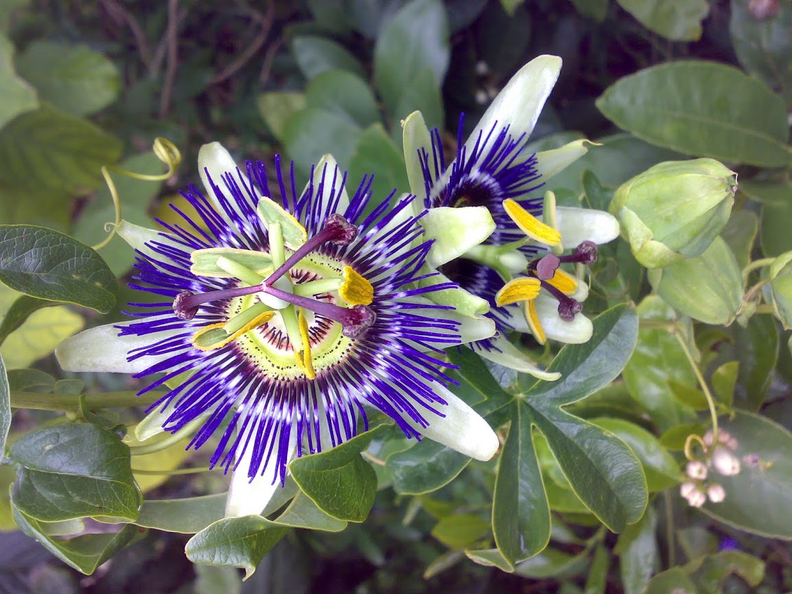 250420115005.jpg