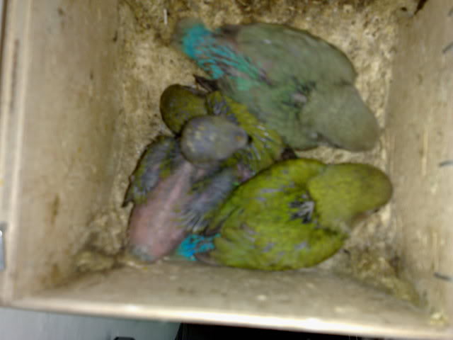 25052009122.jpg