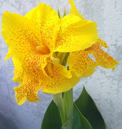 250520113117.jpg