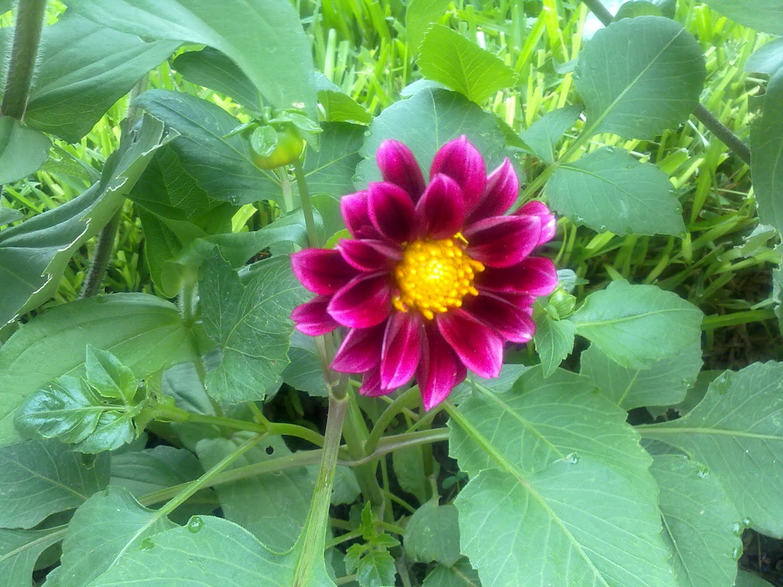 250720101816.jpg