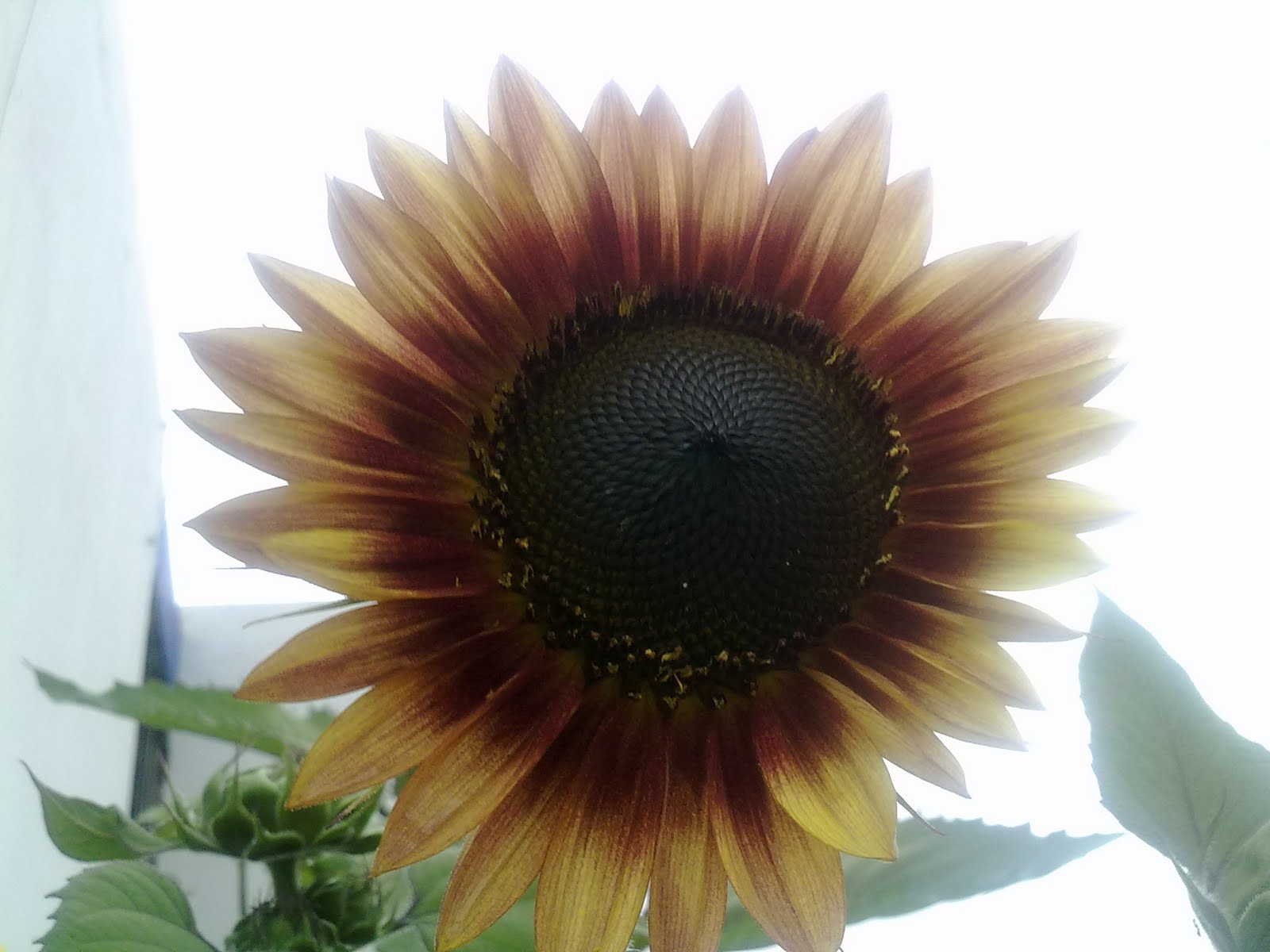 250720101832.jpg