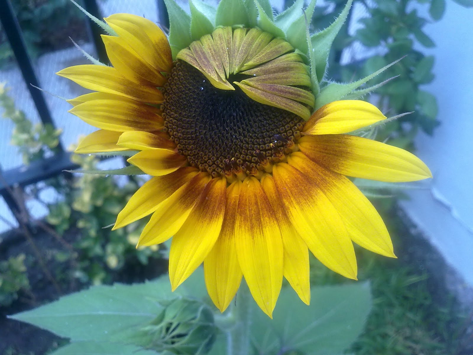 250720101833.jpg