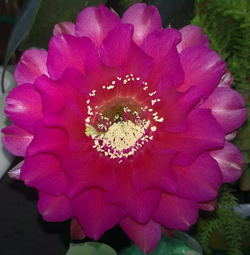 250720113502.jpg