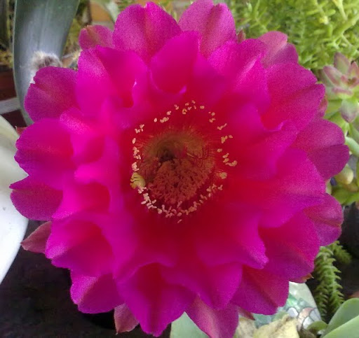 250720113507.jpg