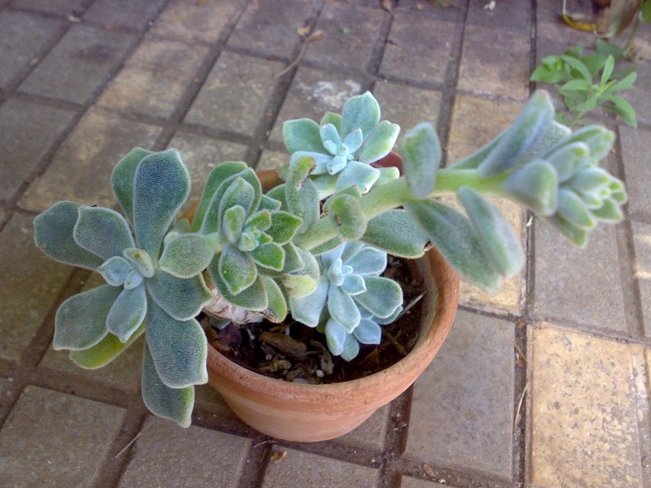 2508201213828.jpg