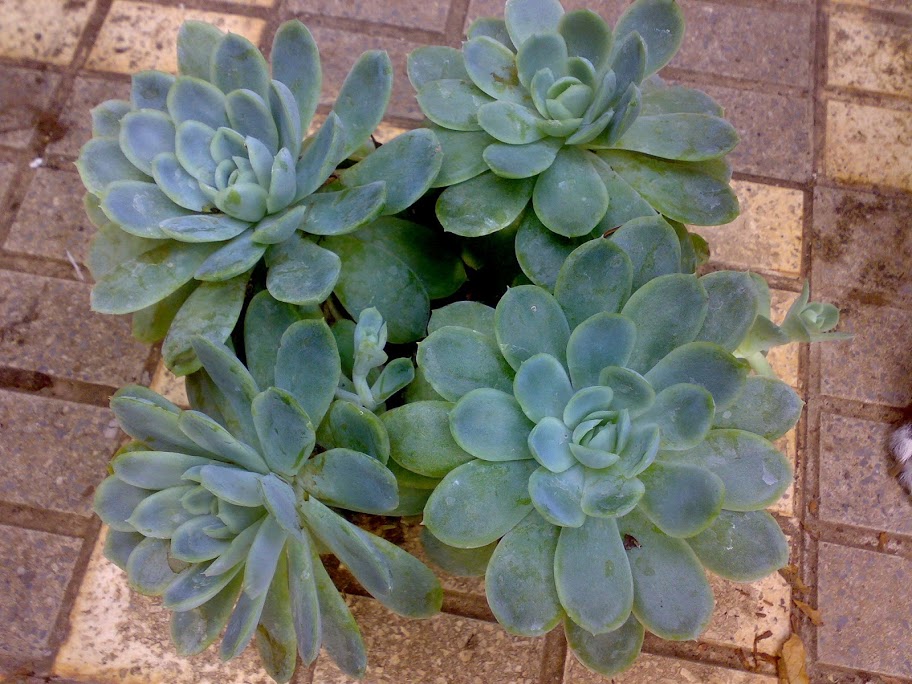 2508201213829.jpg