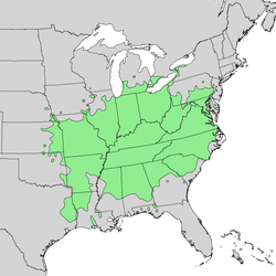 250px-Asimina_triloba_range_map_1.png