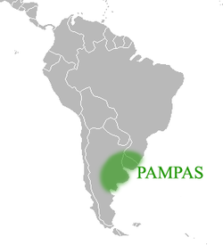 250px-PAMPAS.png