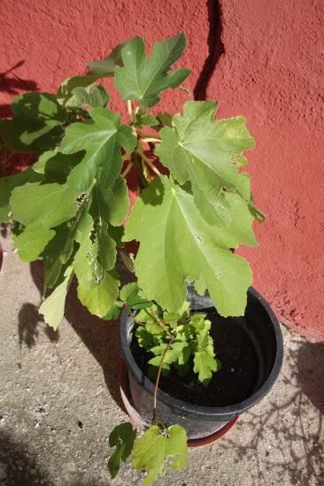 25102009-2.jpg