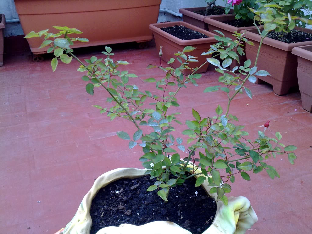 251120101086.jpg